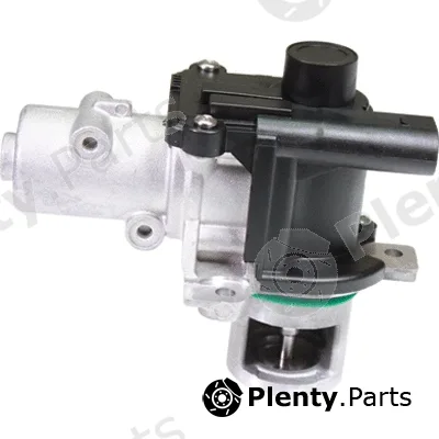 Birth 90080 — EGR Valve
