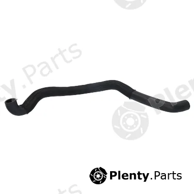 Birth 55304 — Radiator Hose