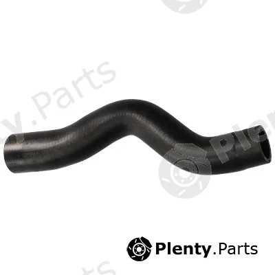 Birth 56242 — Radiator Hose