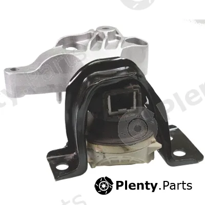 Birth 53296 — Mounting, engine