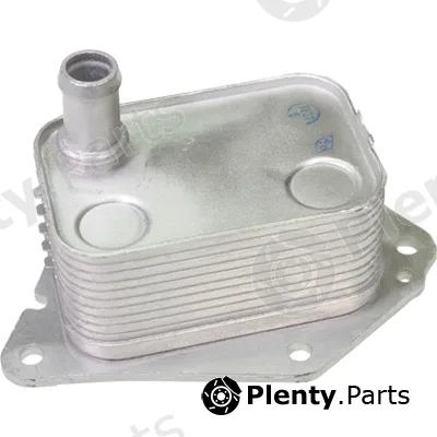 Birth 80355 — Oil Cooler, engine oil