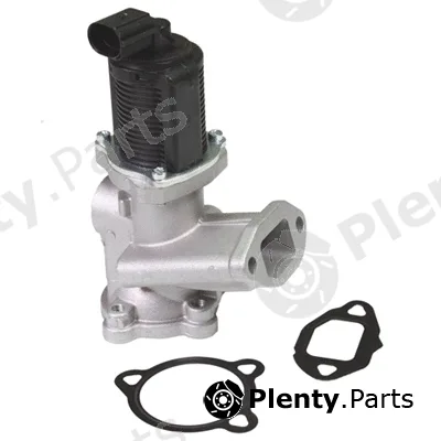 Birth 90061 — EGR Valve