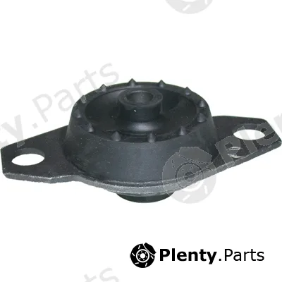 Birth 5091 — Mounting, engine