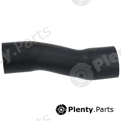 Birth 55287 — Radiator Hose
