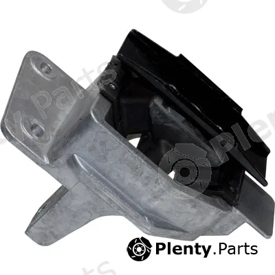 Birth 51806 — Mounting, engine