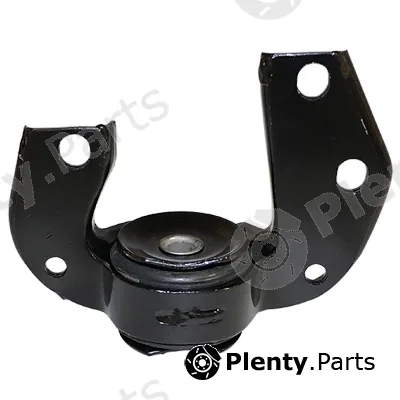 Birth 20079 — Mounting, control/trailing arm