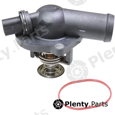 Birth 80173 — Coolant Flange