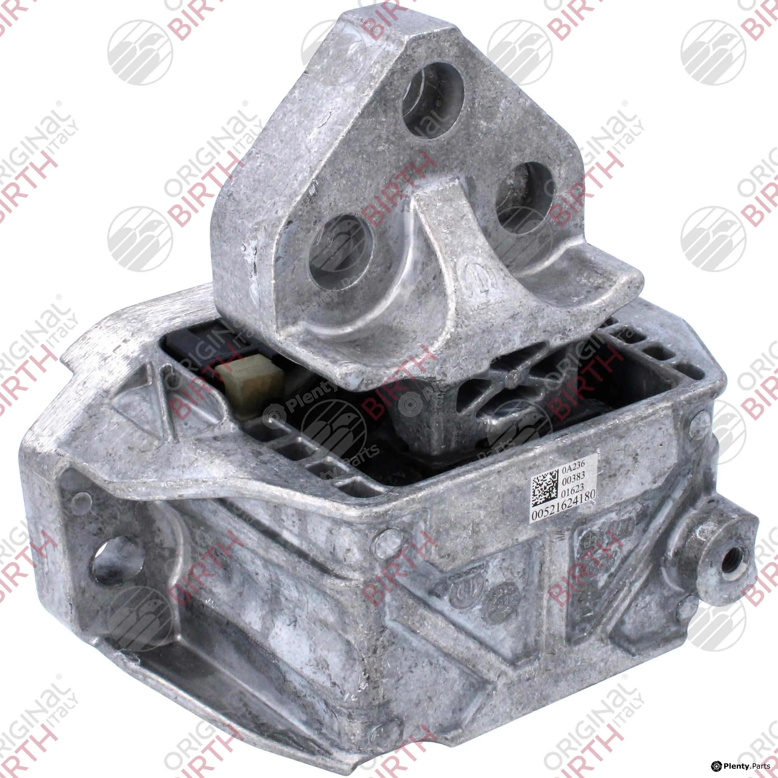 Birth 53788 — Mounting, engine