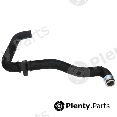 Birth 54755 — Radiator Hose