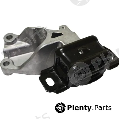 Birth 5021 — Mounting, engine