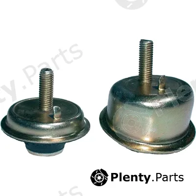 Mounting, engine