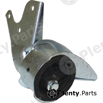 Birth 50646 — Mounting, engine