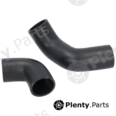 Birth 55570 — Charge Air Hose