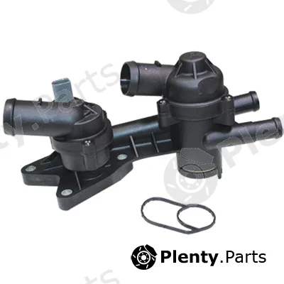 Birth 80098 — Coolant Flange