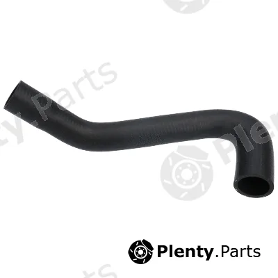 Birth 55033 — Radiator Hose
