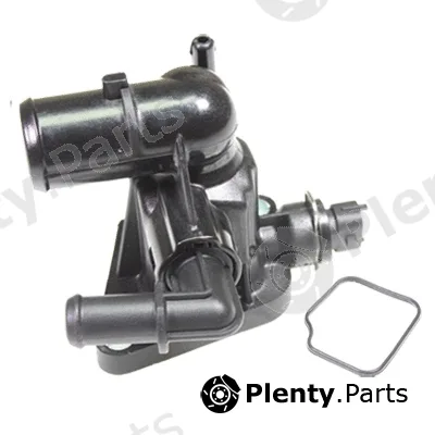 Birth 80579 — Coolant Flange