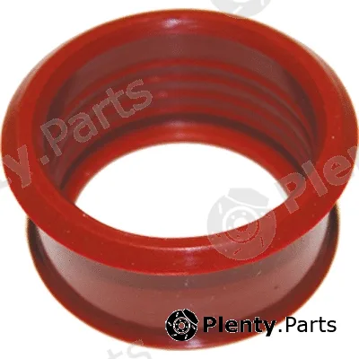 Birth 52581 — Charge Air Hose