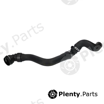 Birth 55197 — Radiator Hose