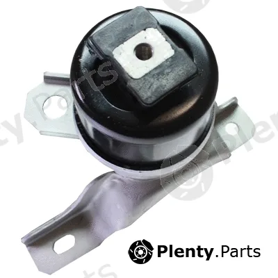Birth 53362 — Mounting, engine