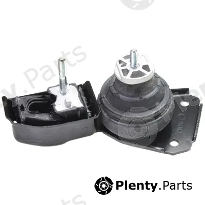 Birth 51363 — Mounting, engine