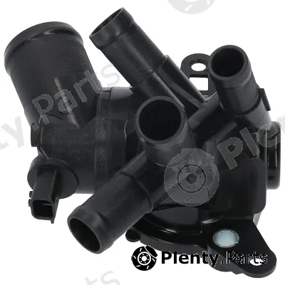Birth 81074 — Coolant Flange