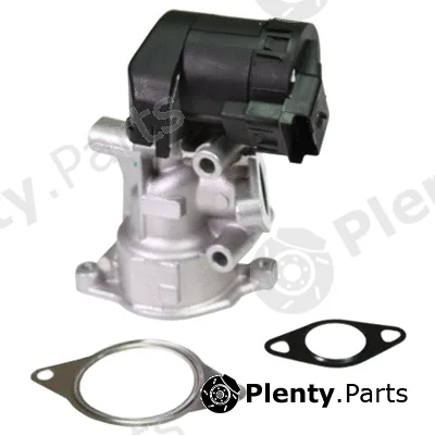Birth 90059 — EGR Valve
