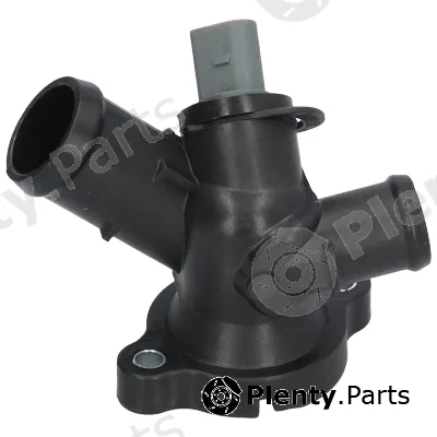 Birth 81125 — Coolant Flange