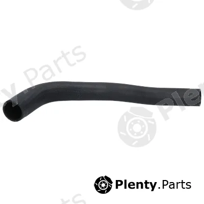 Birth 55458 — Radiator Hose