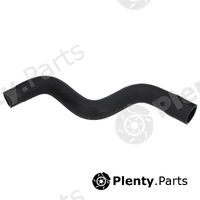Birth 54555 — Radiator Hose
