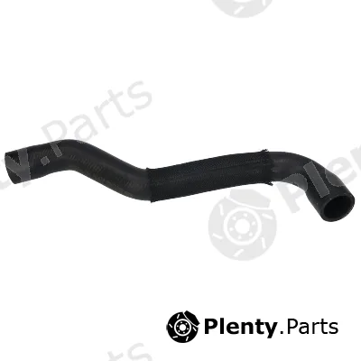 Birth 55291 — Radiator Hose