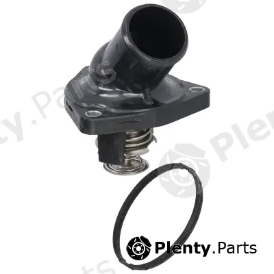 Birth 81117 — Coolant Flange