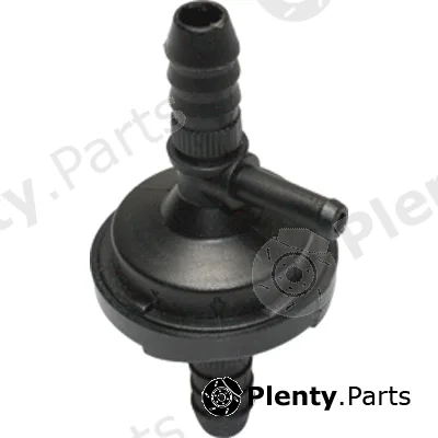 Birth 8838 — Non-Return Valve