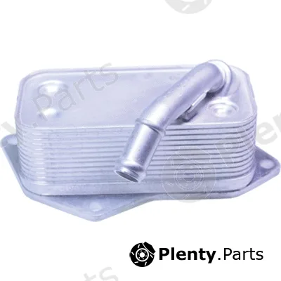 Birth 80121 — Oil Cooler, engine oil