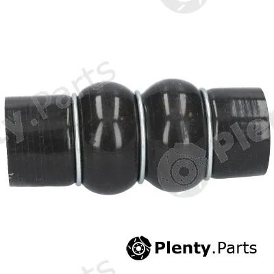 Birth 55615 — Charge Air Hose