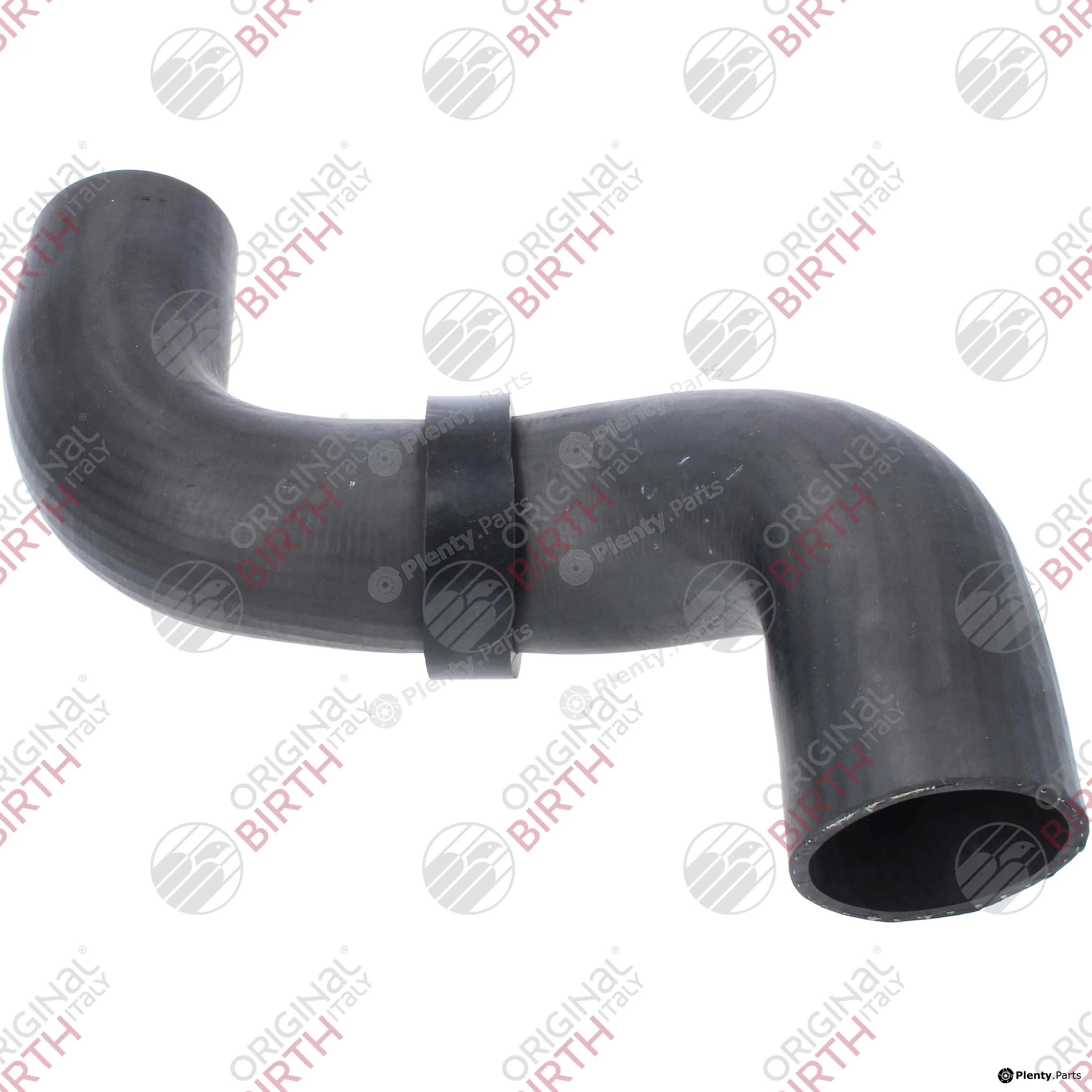Birth 55731 — Charge Air Hose