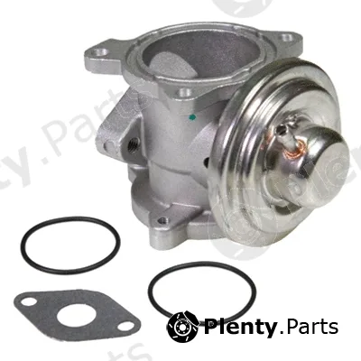 Birth 90073 — EGR Valve