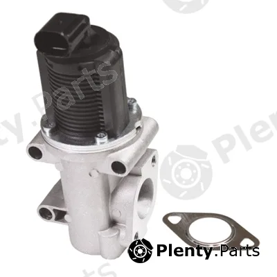 Birth 90084 — EGR Valve
