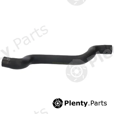 Birth 54715 — Radiator Hose