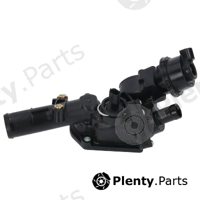 Birth 81079 — Coolant Flange