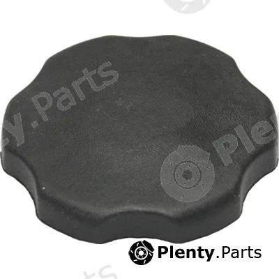 Birth 8813 — Sealing Cap, oil filler neck