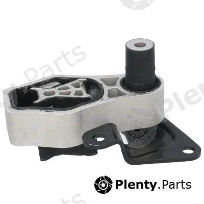 Birth 53343 — Mounting, engine