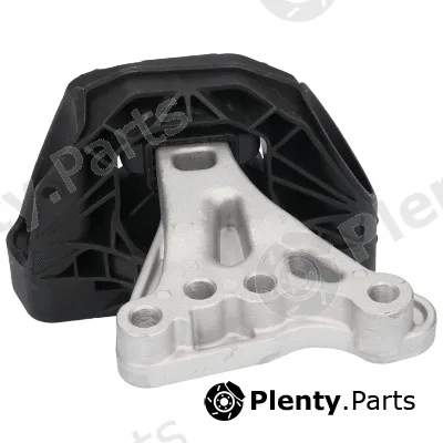 Birth 53513 — Mounting, engine