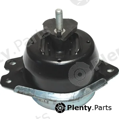 Birth 51658 — Mounting, engine