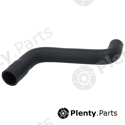 Birth 55428 — Radiator Hose