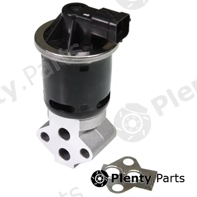 Birth 90072 — EGR Valve