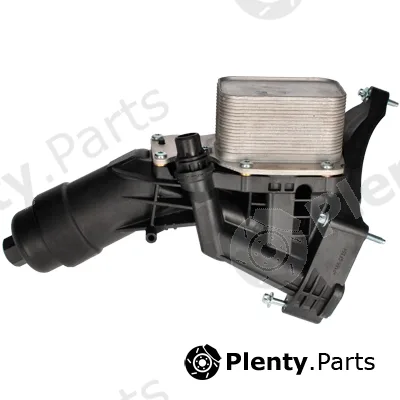 Birth 80816 — Oil Cooler, engine oil