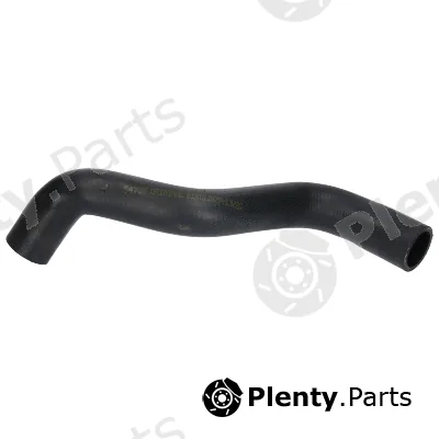 Birth 54735 — Radiator Hose