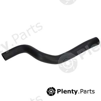 Birth 54986 — Radiator Hose