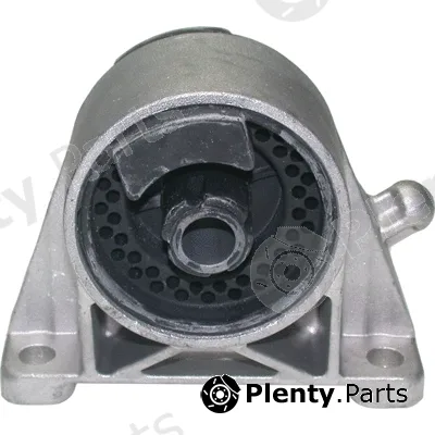 Birth 51110 — Mounting, engine