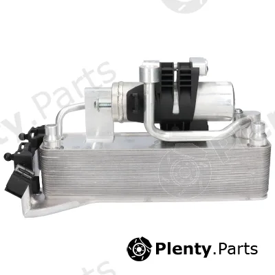 Birth 80808 — Oil Cooler, engine oil